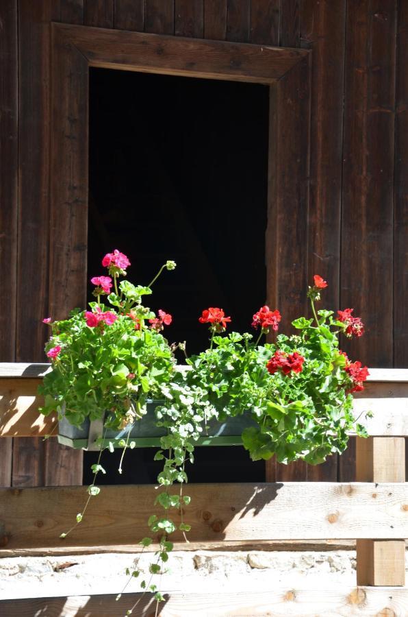 Appartamento Ausserwegerhof Anterselva di Mezzo